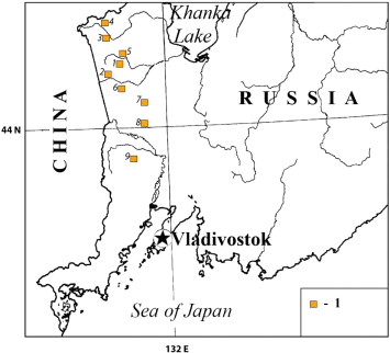 Locations of genetically and morphologically typed settlements of M. psilurus ...