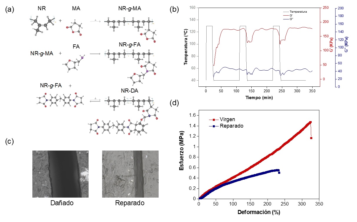 Draft Hernandez Santana 135928242 8911 Fig3.jpg