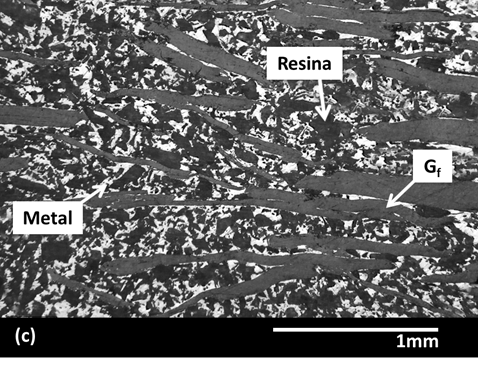 Maiorano Molina 2018a-image13.png