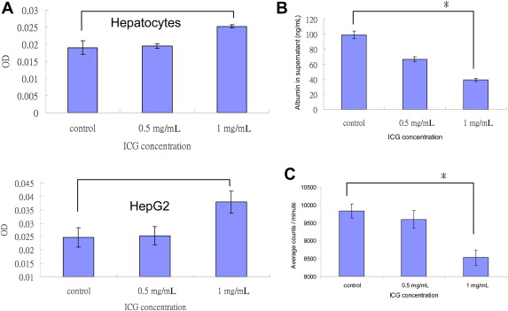 Functional disturbances of human hepatocytes and HepG2 cells following ICG ...
