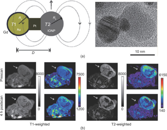 (a) Engineering the heterogeneous nanostructures for magnetic coupling of T1 and ...