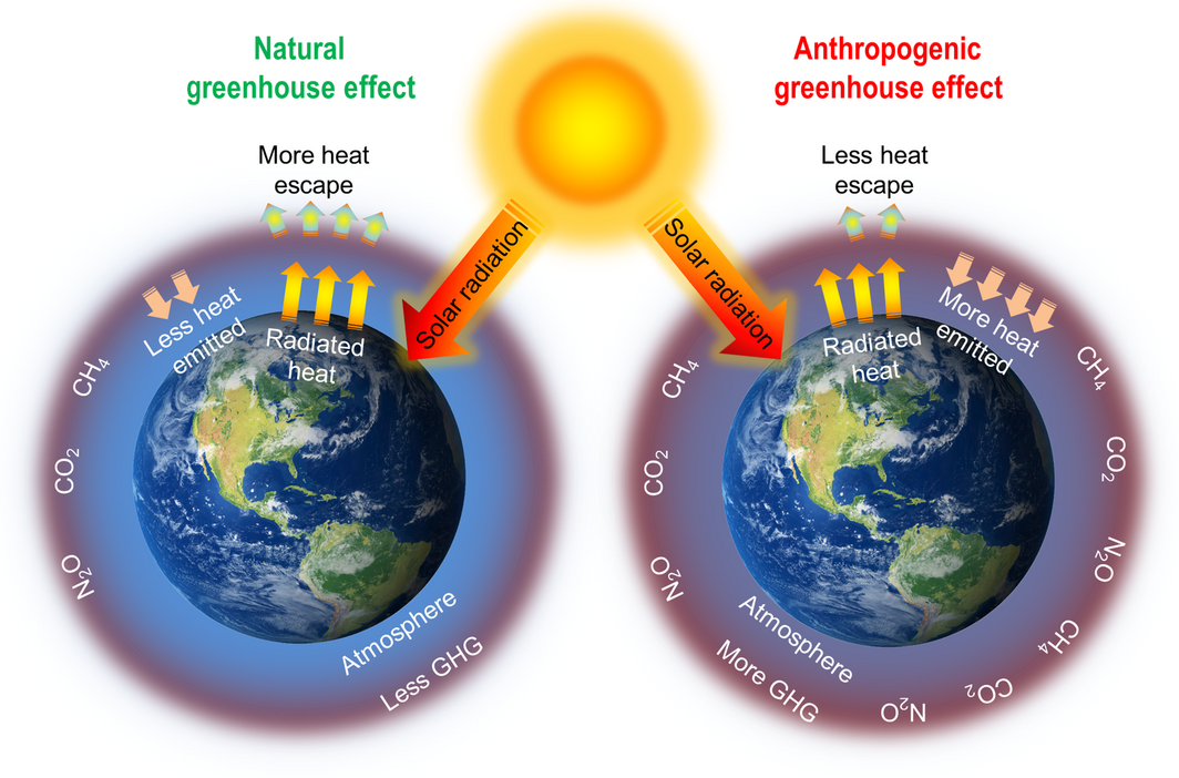 Figure 1.