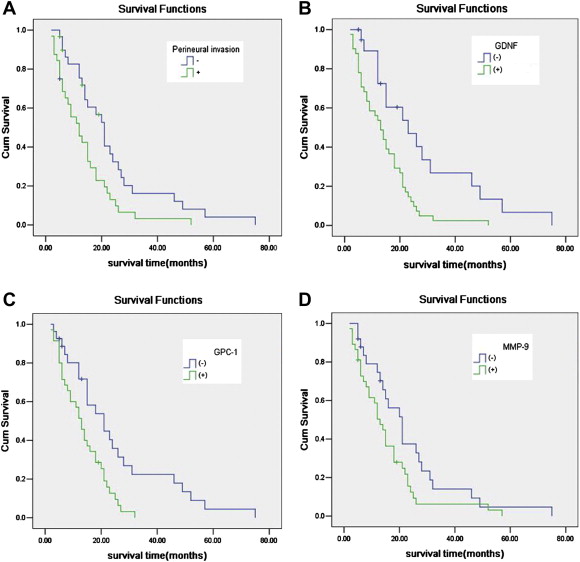 Kaplan-Meier survival curves for the four covariates in pancreatic cancer ...
