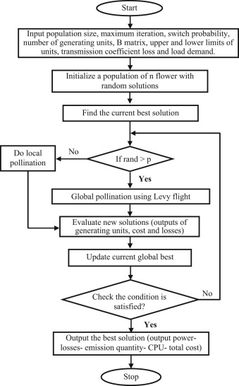 Flow chart of FPA.