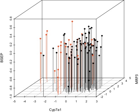 mRNA expression profiles of 3 genes (Cyp7a1, Mrp3 and Bsep) to cholestatic (red) ...