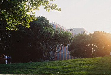 Valentines Slope at Tongji University.