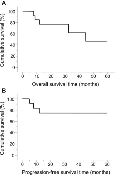 (A) Kaplan-Meier analysis on overall survival time of patients with lung cancer; ...