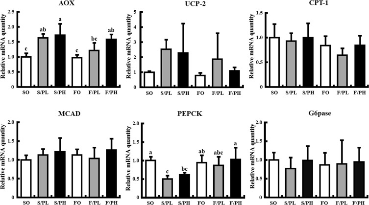 Hepatic mRNA levels related to fatty acid β-oxidation and metabolism, and ...