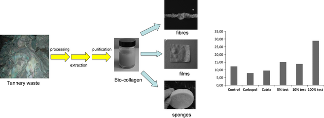 Figure 11.