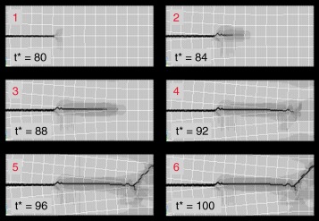 Configurações que ilustram o avanço subcrítico da fissura, onde t*= (t/tmáx) ...