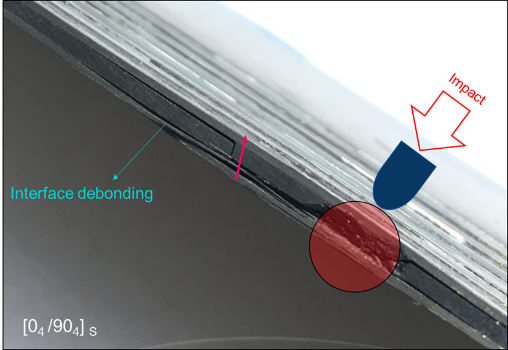 Fernandez-Lopez et al 2018a-image6.png