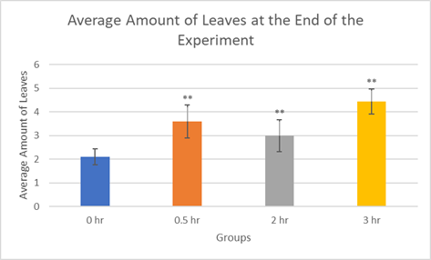 Review 855074334749-image10.png