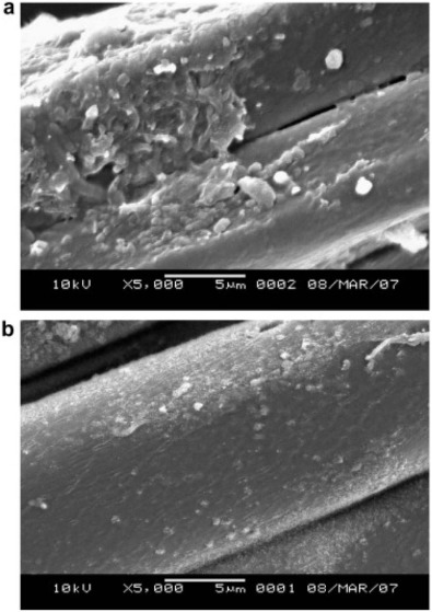 SEM micrographs showing the difference of untreated and treated jute fiber [54].