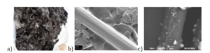 Review 545748139219 4227 fig1.JPG