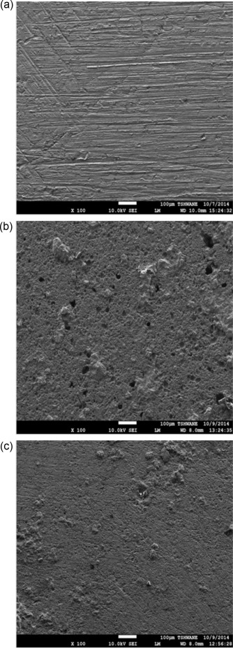 Representative SEM micrographs of the surface morphologies of the mild steel ...