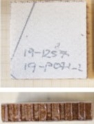 Blanco et al 2022a-image8-c.jpeg