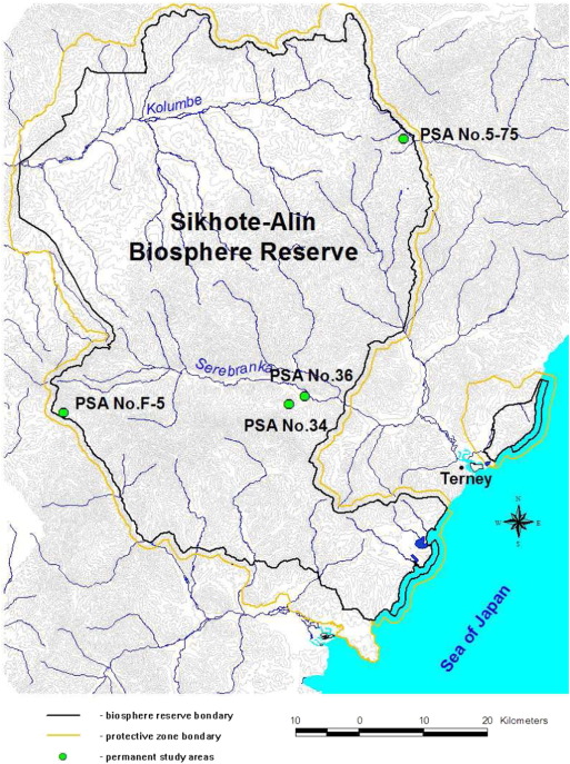 Layout of the permanent study areas in the Sikhote-Alin nature reserve.