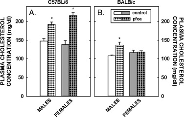 Plasma cholesterol concentrations in C57BL/6 (A) and BALB/c (B) male and female ...
