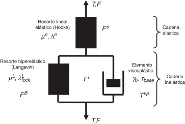 Modelo reológico de Arruda-Boyce.