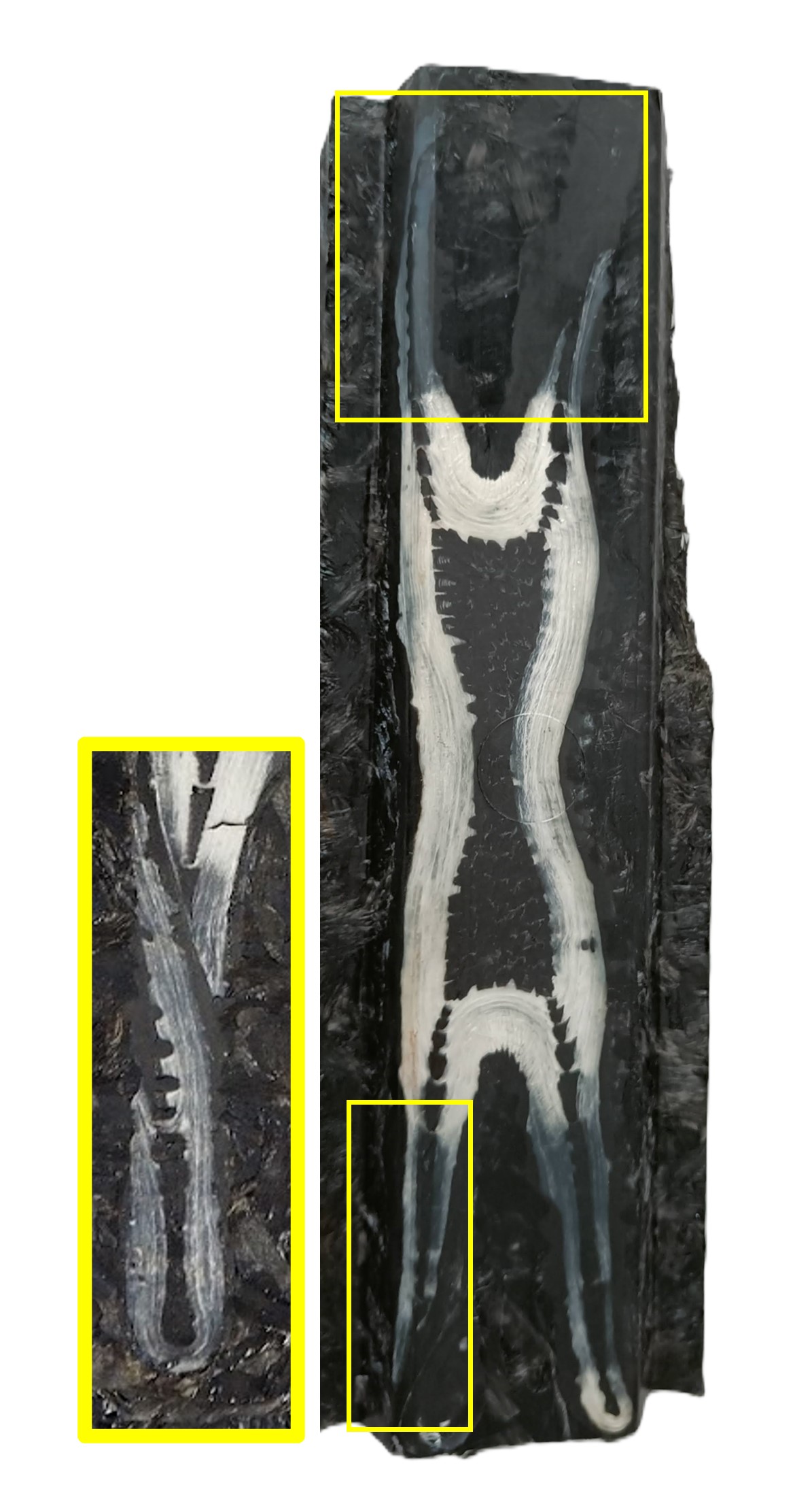 Draft Olaziregi Cuevas 140119553 6645 Figura07a.jpg