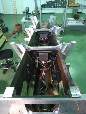 Fernandez-Lopez et al 2018a-image9.jpeg