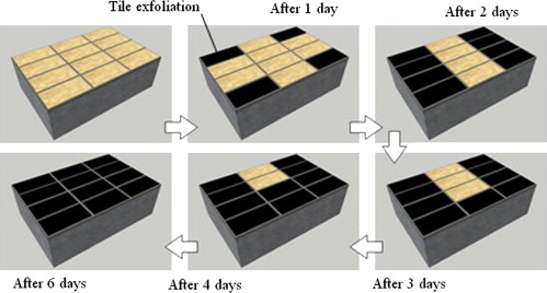 Propagation of tile exfoliation with time (drying temperature is 105°C).