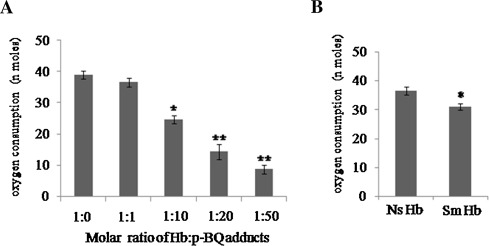 (A) Oxygen consumption by Hb-p-BQ adduts at different molar ratios of Hb:p-BQ, ...