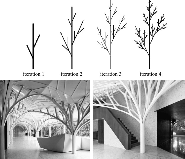Above – fractal generation (plant growth) using L-System; below – the Tote ...