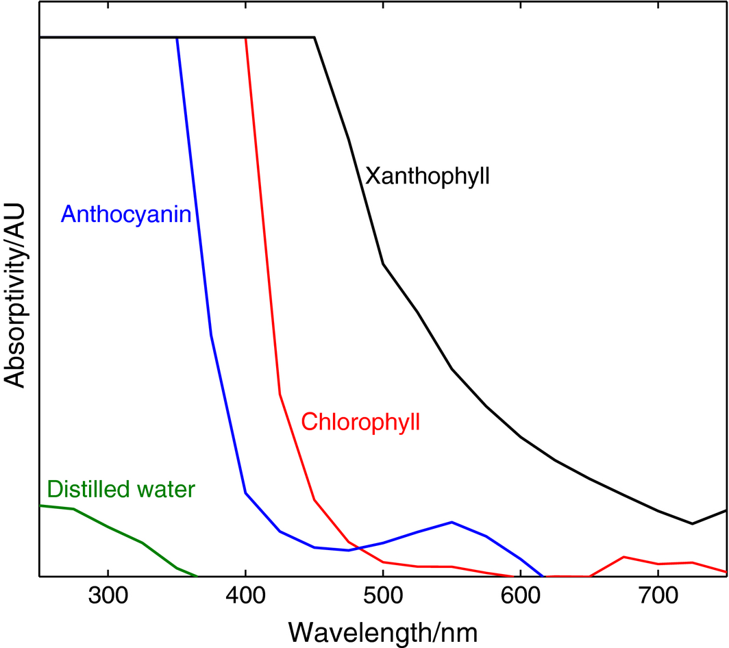 Figure 13.