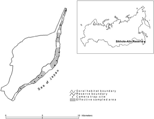 Location of camera traps and the effective goral survey area in Abrek ...