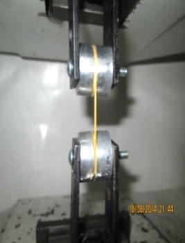 Mora Ramon 2018a-image13.png