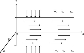 The schematic diagram of fluid flow through expanding or contracting walls.