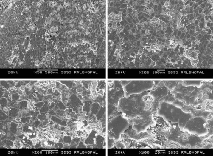 The SEM micrographs of worn surface of normal orientation sample under sliding ...