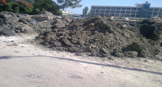 Example of wastes on Mahmudiya canal sides.