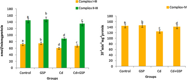 Effects of GSP treatment on Cd-induced changes on complex I–III, complex IV and ...