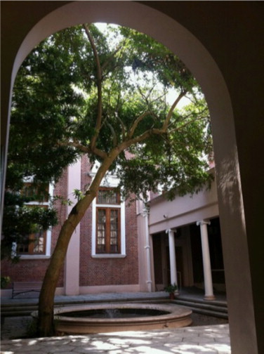 A tiny pond as foci in Main Building, HKU.