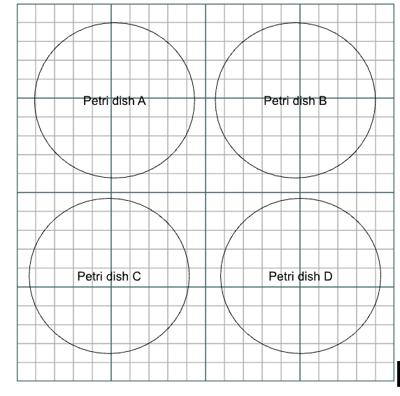 Review 337222142936 7562 Grid.png