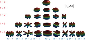 Ilustración que muestra la forma de los primeros armónicos esféricos l=0, 1, 2, ...