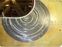 Nieto-Leon et al 2019a-image8-c.jpeg