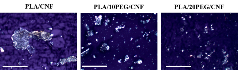Melt Processing of Cellulose Nanofibers Reinforced PLA from a ...