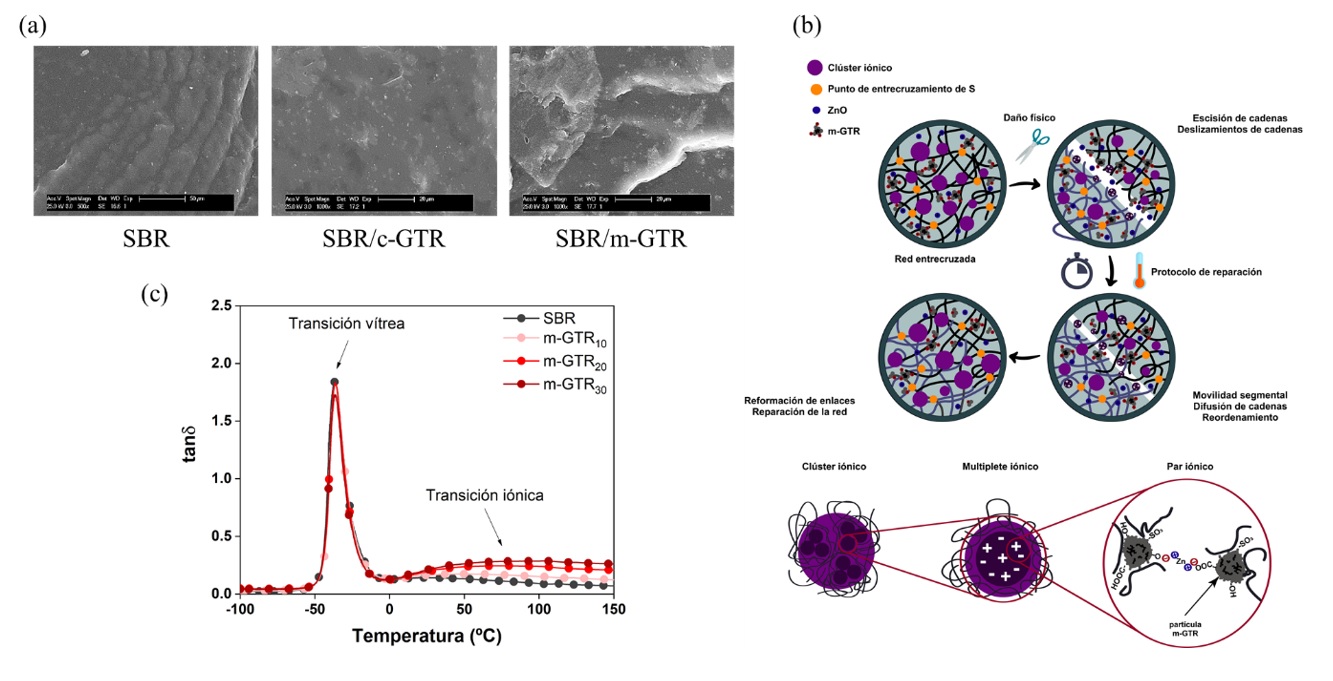 Draft Hernandez Santana 135928242 2152 Fig5.jpg