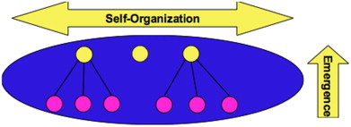 Self-organization and emergence.