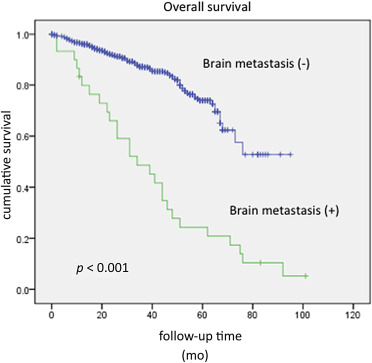 Mean overall survival rates for patients with and without brain metastasis.