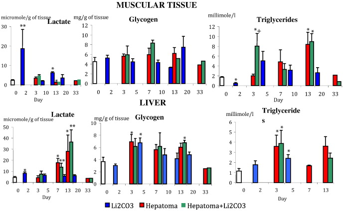 Metabolic changes in muscular tissue and liver under conditions of tumour growth ...