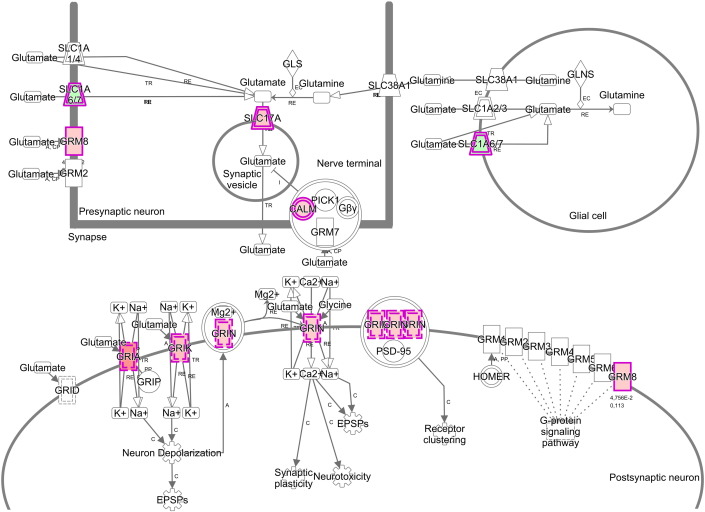 Fig. 2