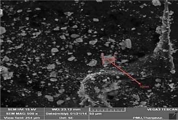 SEM image for Al2O3 nanoparticle of 50nm.