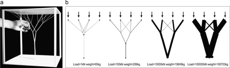 Exploring branching structures by genetic algorithms for minimal paths. (a) ...