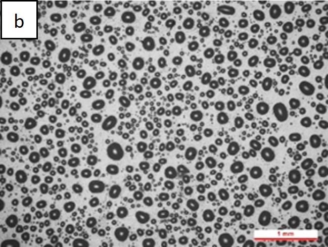 Review 950121520459 1808 FIgura 5b.jpg