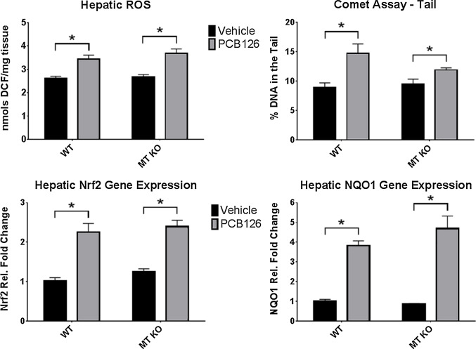 ROS metrics are increased with PCB126 treatment with no difference observed ...