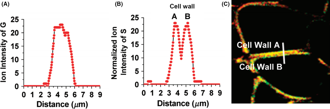 Figure 10.